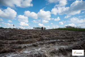 50-lecie Nadleśnictwa Bełchatów