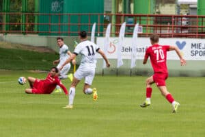PP_GKS_LECHIA-0300